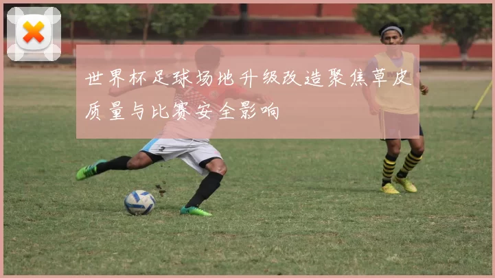 世界杯足球场地升级改造聚焦草皮质量与比赛安全影响