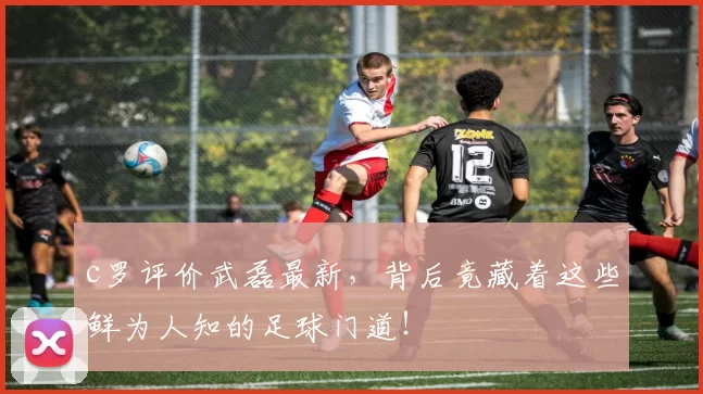 c罗评价武磊最新，背后竟藏着这些鲜为人知的足球门道！