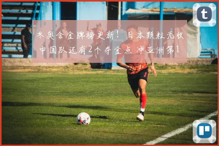 冬奥会金牌榜更新！日本颗粒无收 中国队还有2个夺金点 冲亚洲第1